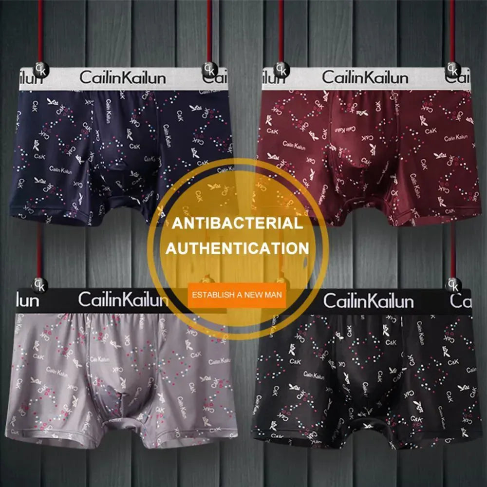 Boys Shorts Boxed Underpants (Pack of 6)